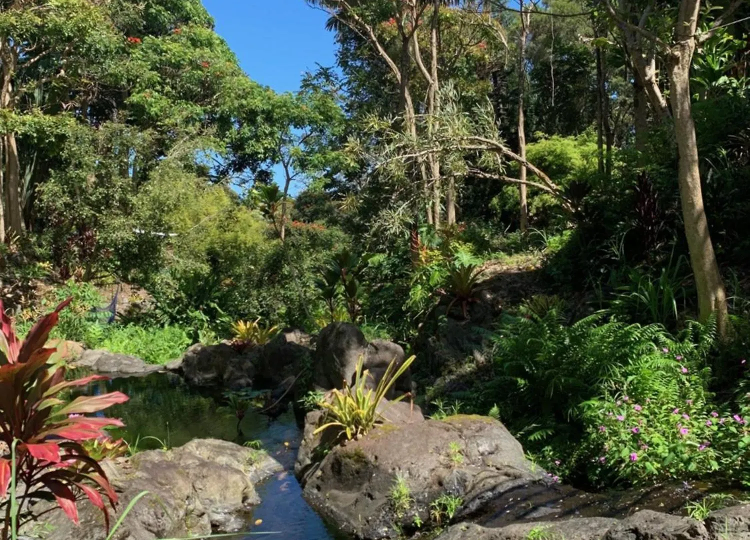 Honokaa Romatic Waterfall Cabin In The Rainforest 0*,