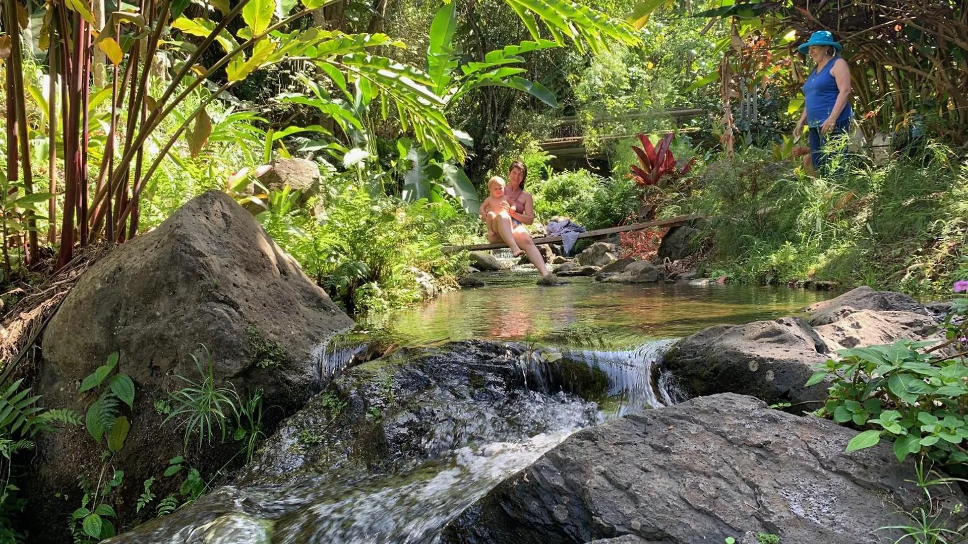 אכסניה Honokaa Romatic Waterfall Cabin In The Rainforest