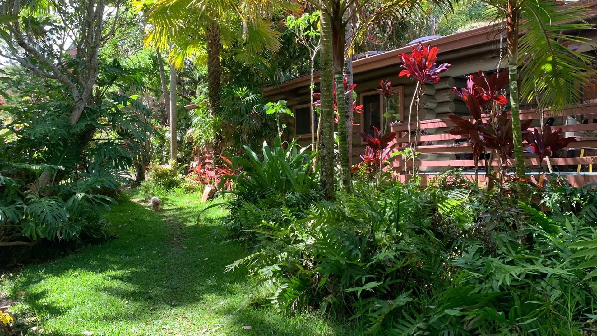 Honokaa Romatic Waterfall Cabin In The Rainforest
